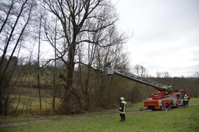 Weinstadt-Schnait: Sturmschaden fordert die Weinstaetder Feuerwehr 